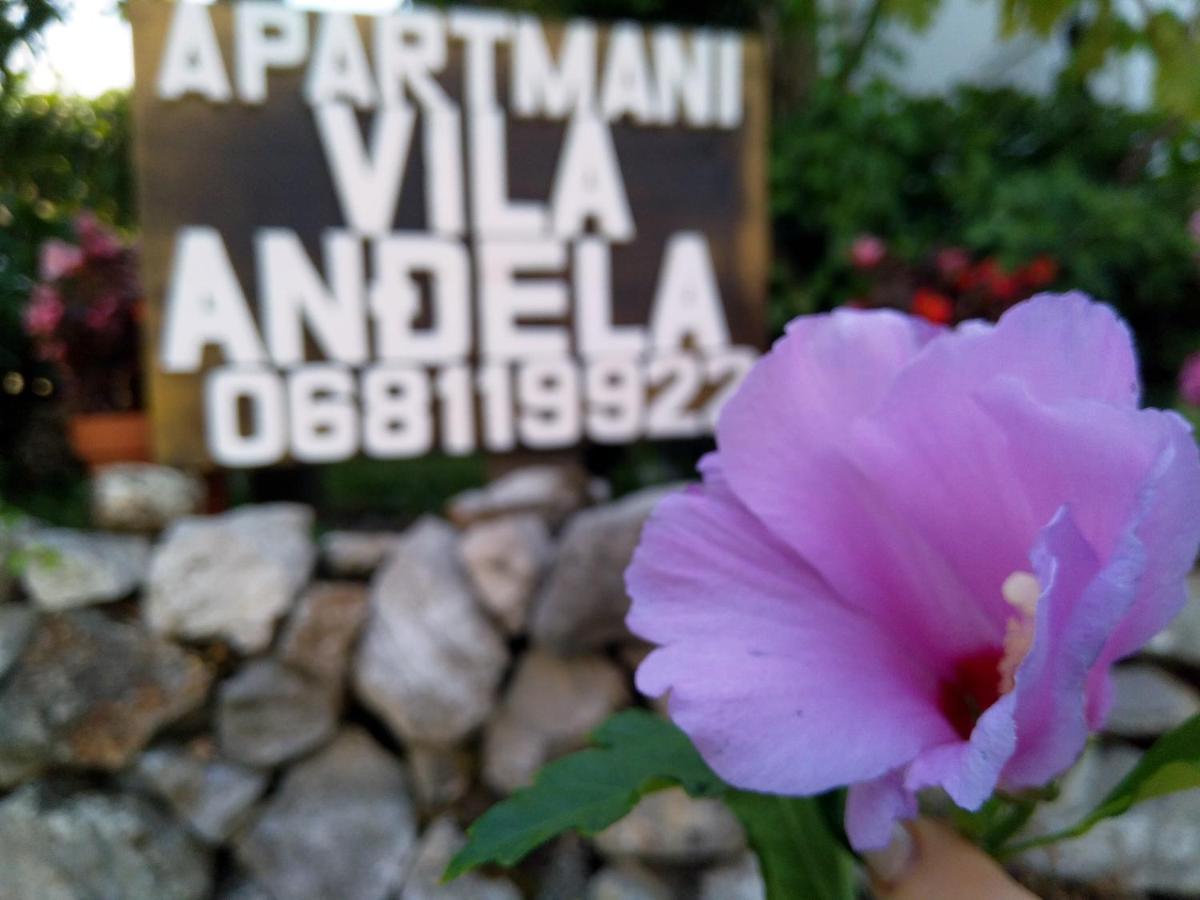 Andjela Apartment
