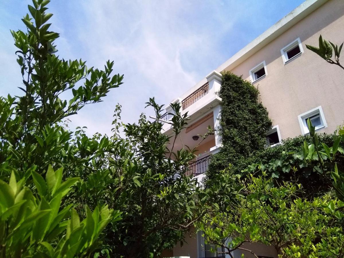 Apartment Andjela *
