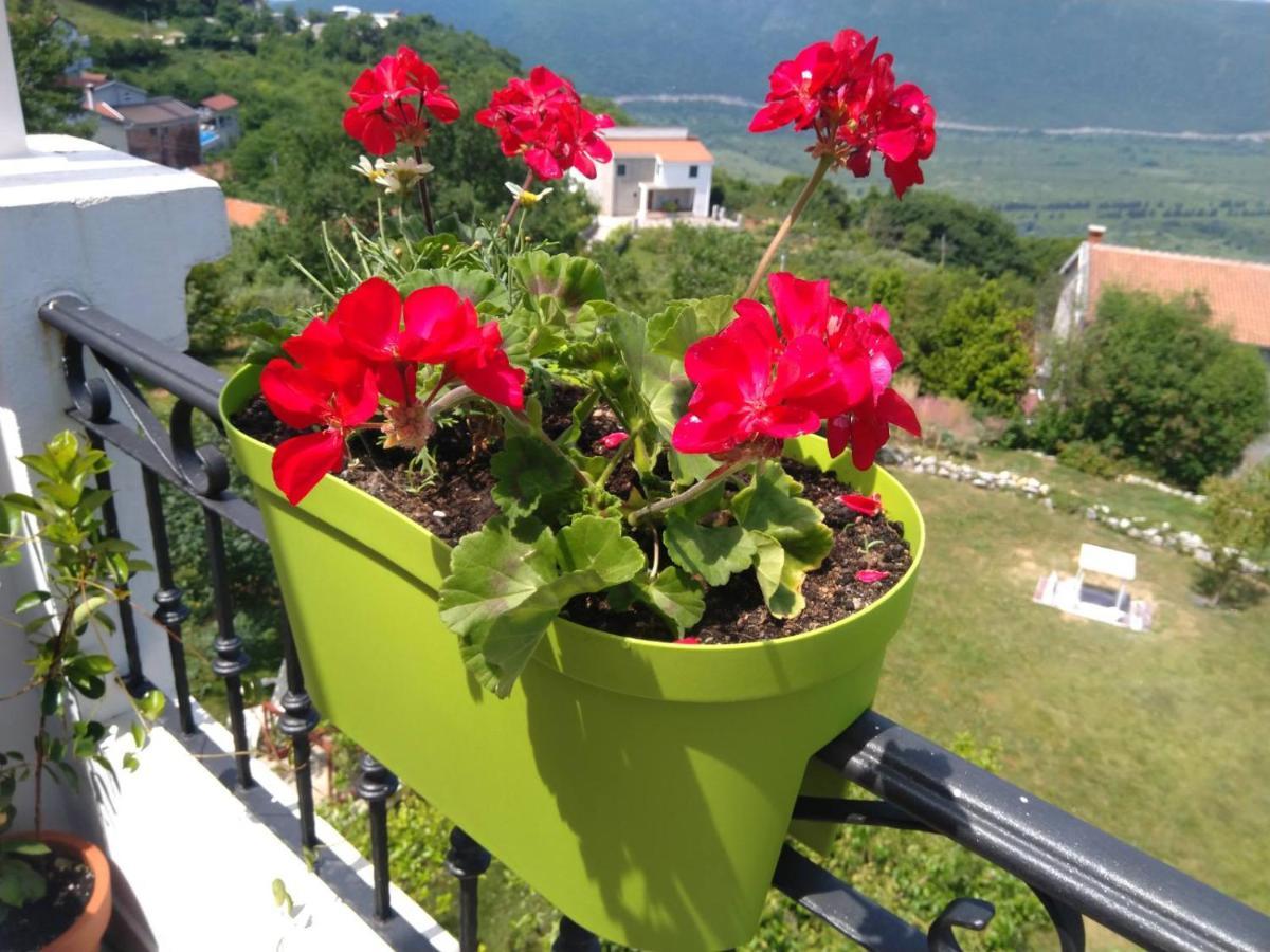 Apartment Andjela *