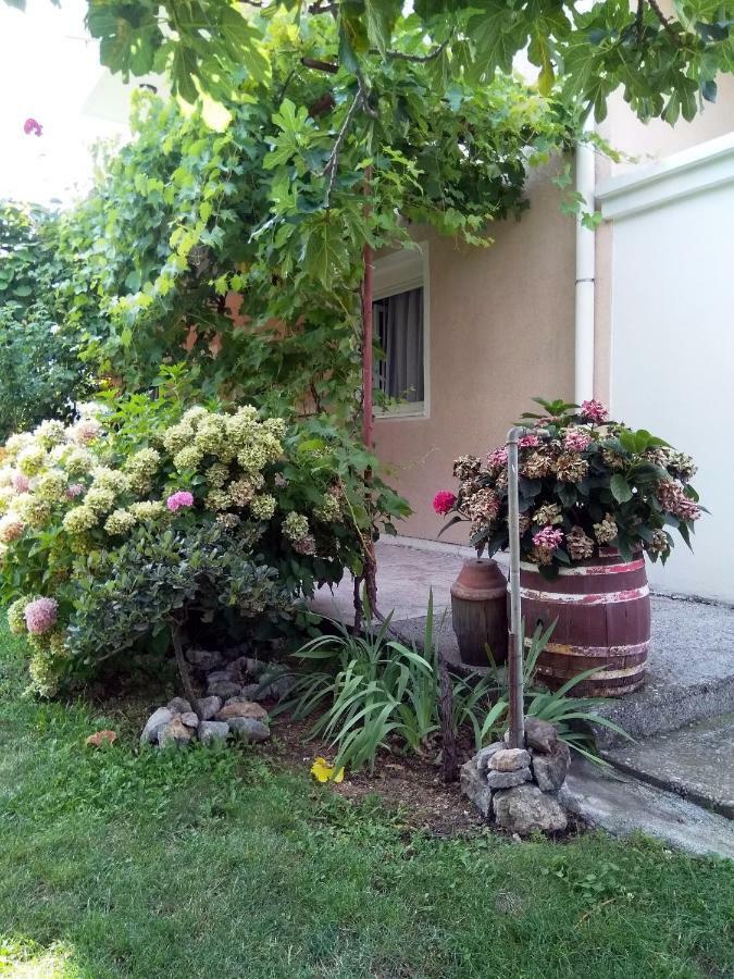 Andjela Budva