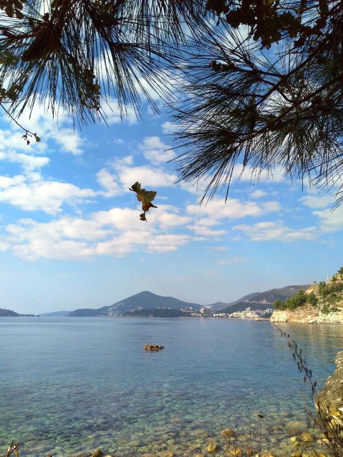 Andjela Budva