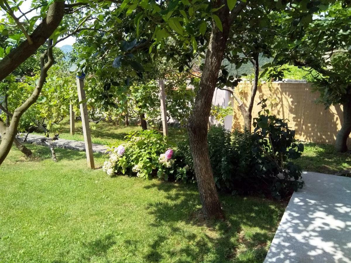 Apartment Andjela *
